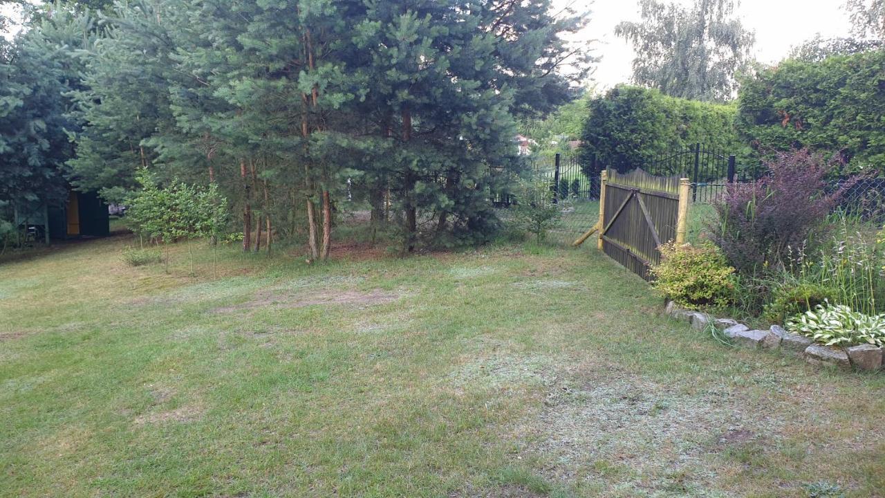 Domki Nad Jeziorem, Las, Do 10 Osob Jezioro Wilczynskie Budzislawskie - Domek Letniskowy Osobno Ogrodzony, Ogrzewany Mile Widziane Pieski, Zwierzeta- Wielkopolska, 62-550 Zygmuntowo Gm Wilczyn Exteriér fotografie