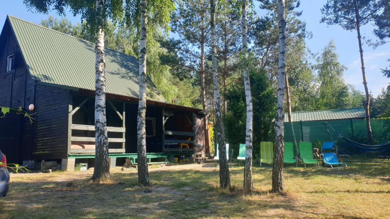 Domki Nad Jeziorem, Las, Do 10 Osob Jezioro Wilczynskie Budzislawskie - Domek Letniskowy Osobno Ogrodzony, Ogrzewany Mile Widziane Pieski, Zwierzeta- Wielkopolska, 62-550 Zygmuntowo Gm Wilczyn Exteriér fotografie