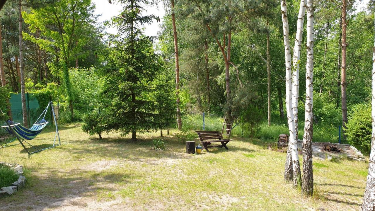 Domki Nad Jeziorem, Las, Do 10 Osob Jezioro Wilczynskie Budzislawskie - Domek Letniskowy Osobno Ogrodzony, Ogrzewany Mile Widziane Pieski, Zwierzeta- Wielkopolska, 62-550 Zygmuntowo Gm Wilczyn Exteriér fotografie