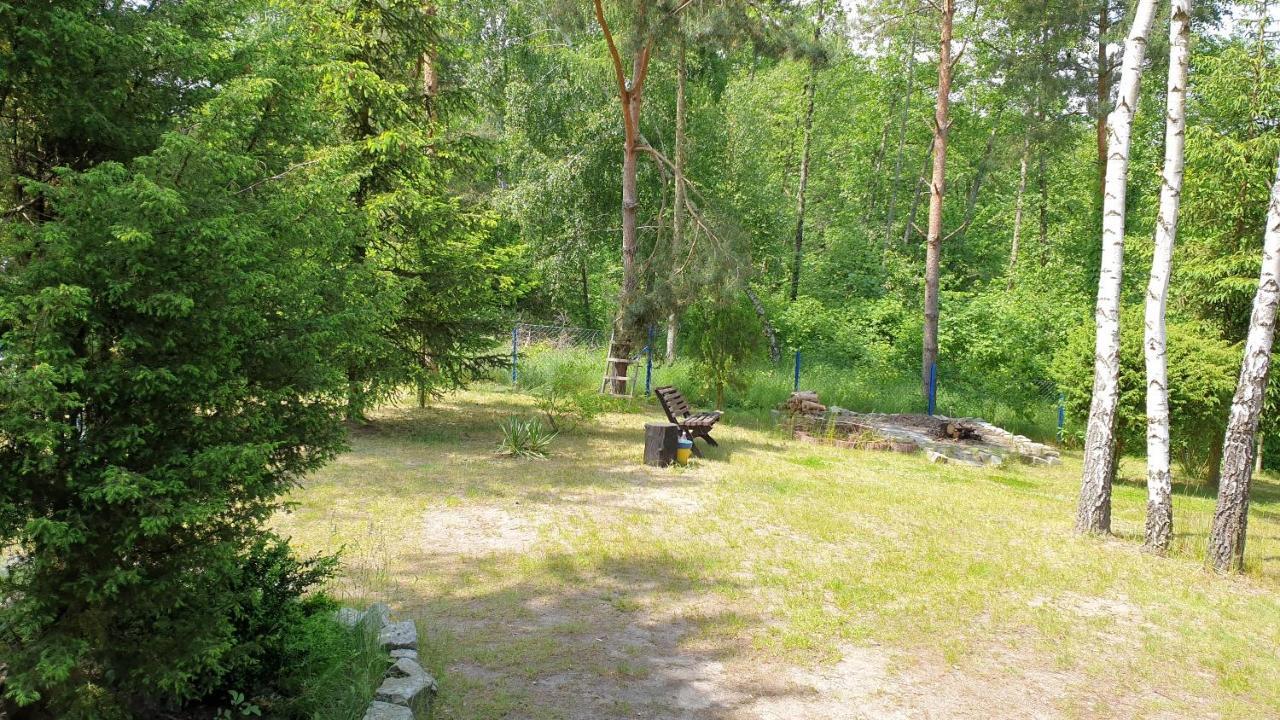 Domki Nad Jeziorem, Las, Do 10 Osob Jezioro Wilczynskie Budzislawskie - Domek Letniskowy Osobno Ogrodzony, Ogrzewany Mile Widziane Pieski, Zwierzeta- Wielkopolska, 62-550 Zygmuntowo Gm Wilczyn Exteriér fotografie