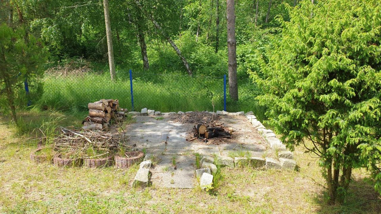 Domki Nad Jeziorem, Las, Do 10 Osob Jezioro Wilczynskie Budzislawskie - Domek Letniskowy Osobno Ogrodzony, Ogrzewany Mile Widziane Pieski, Zwierzeta- Wielkopolska, 62-550 Zygmuntowo Gm Wilczyn Exteriér fotografie