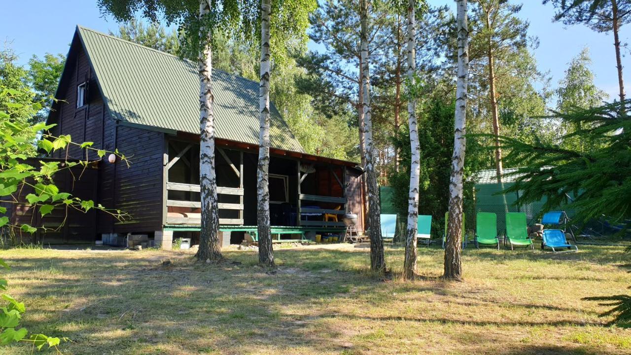 Domki Nad Jeziorem, Las, Do 10 Osob Jezioro Wilczynskie Budzislawskie - Domek Letniskowy Osobno Ogrodzony, Ogrzewany Mile Widziane Pieski, Zwierzeta- Wielkopolska, 62-550 Zygmuntowo Gm Wilczyn Exteriér fotografie