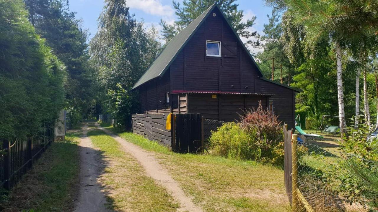 Domki Nad Jeziorem, Las, Do 10 Osob Jezioro Wilczynskie Budzislawskie - Domek Letniskowy Osobno Ogrodzony, Ogrzewany Mile Widziane Pieski, Zwierzeta- Wielkopolska, 62-550 Zygmuntowo Gm Wilczyn Exteriér fotografie